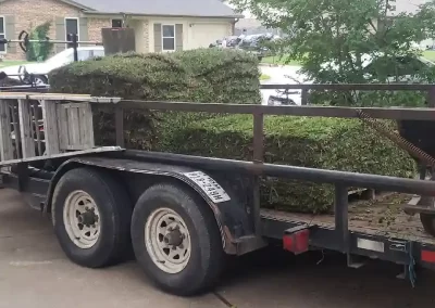 Landscape Services