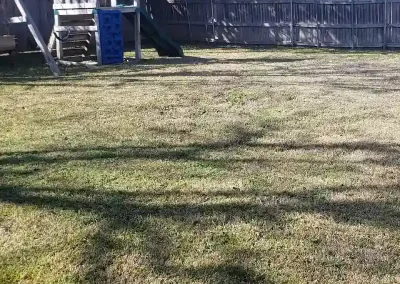 Landscape Services