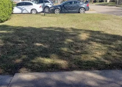 Landscape Services