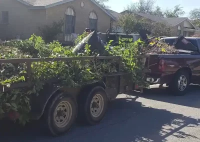 Landscape Services