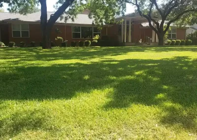 Landscape Services