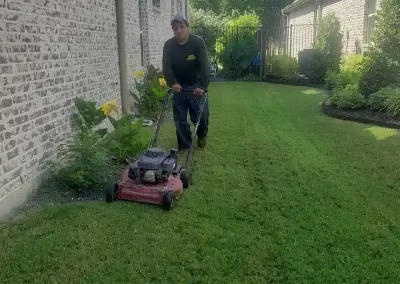 Landscape Services