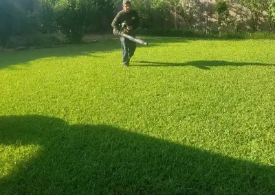 Landscape Services