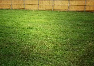Landscape Services