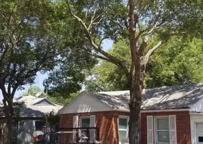 Landscape Services