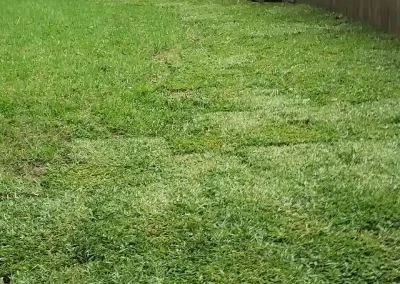 Landscape Services
