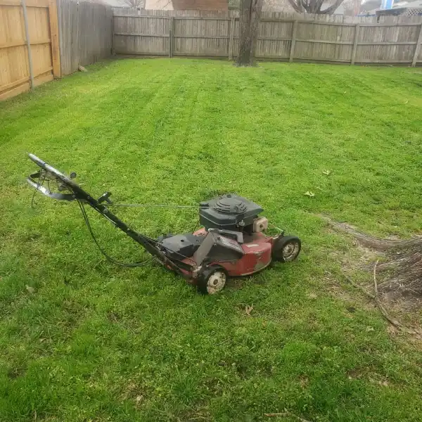 Landscaping