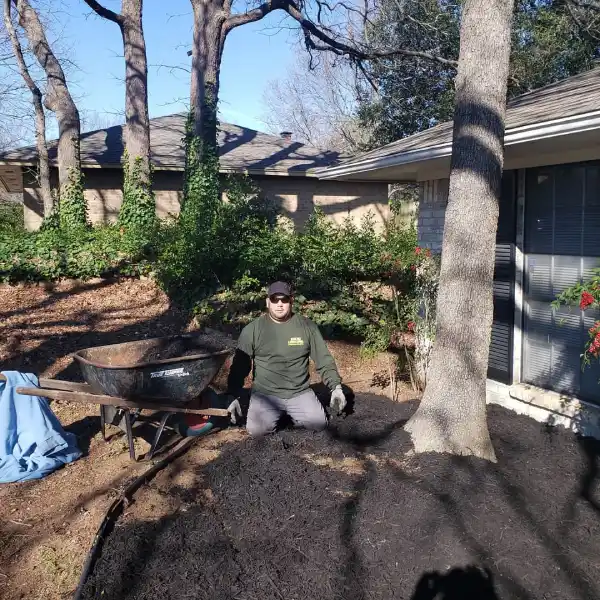 Landscaping
