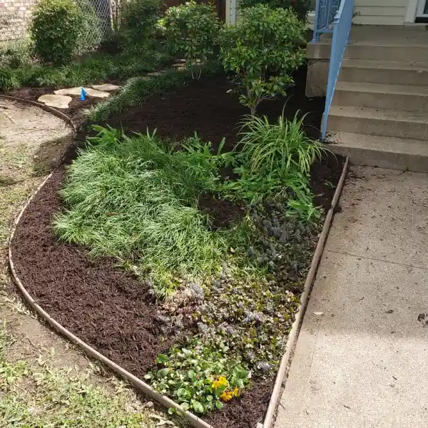 Landscaping