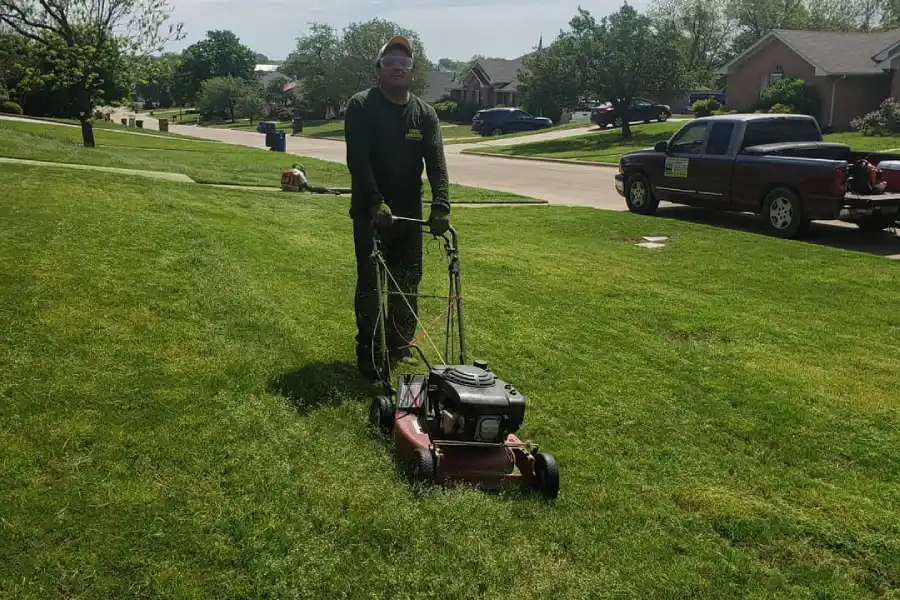 Lawn Maintenance