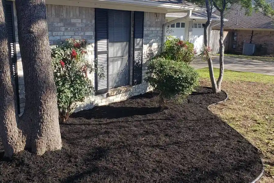 Top-Quality Landscape Services