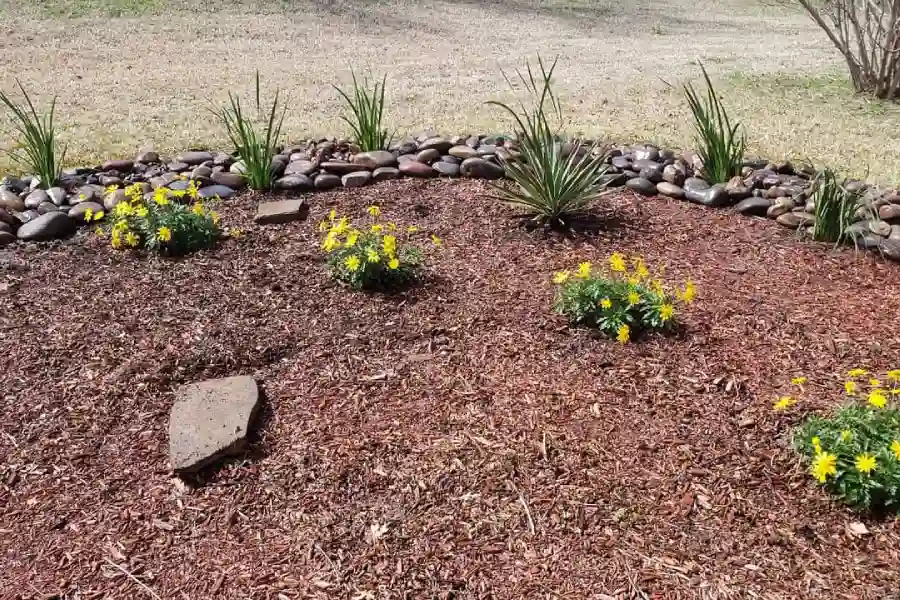 Professional Landscape Services